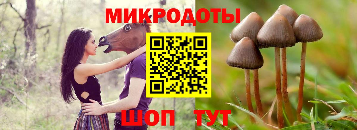 Лабинск  Псилоцибиновые грибы Magic Shrooms  Вход с VPN  Псилоцибиновые грибы GOLDEN TEACHER 